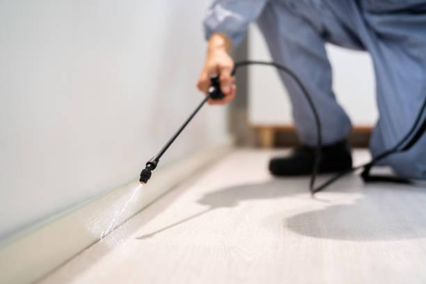 Licensed Termite Control service in Edinburg, TX - Nex Pest Control