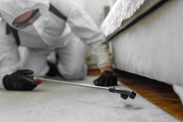 Professional Termite Control technician working in Edinburg, TX