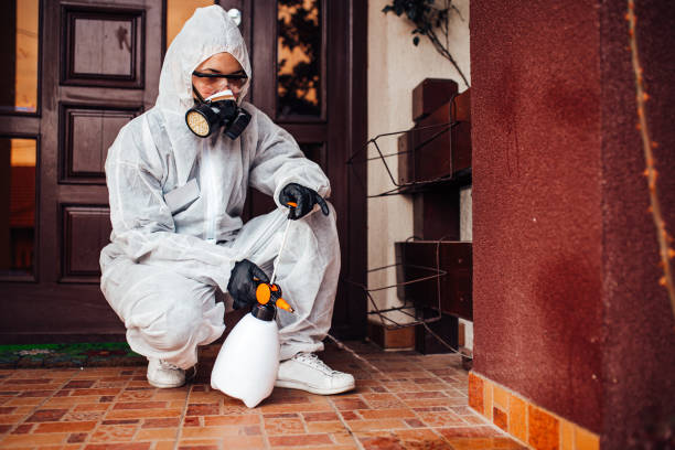Reliable Termite Control contractor in Edinburg, TX by Nex Pest Control