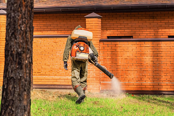 Top rated local Termite Control specialists in Edinburg, TX